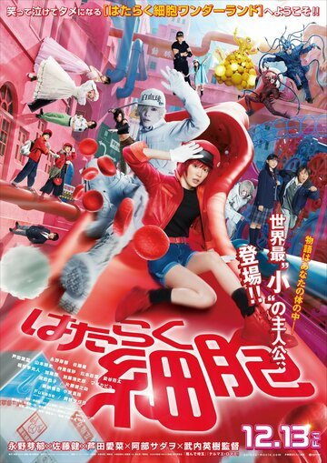 Клетки за работой / Hataraku Saibou (2024)