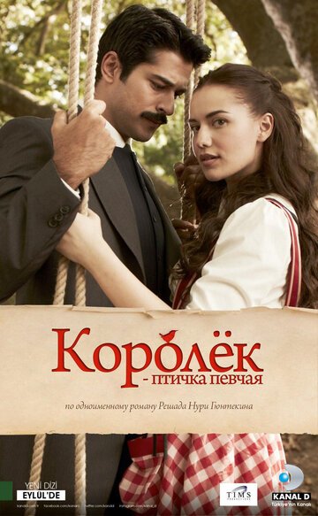 Королёк - птичка певчая / Calikusu (2013)
