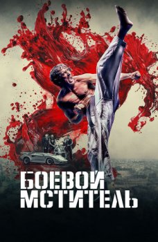 Боевой мститель / The Martial Avenger (2024)