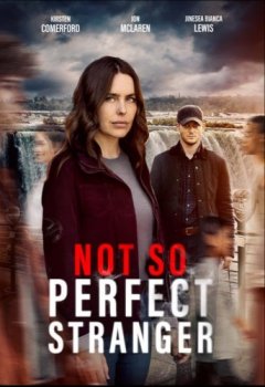 Неприятное знакомство / Not So Perfect Stranger (2025)