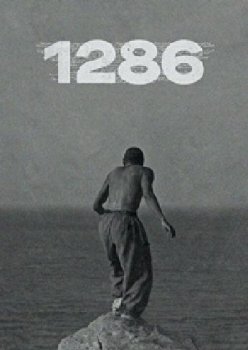 1286 (2023)