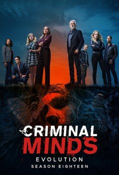 Мыслить как преступник / Criminal Minds (2005)