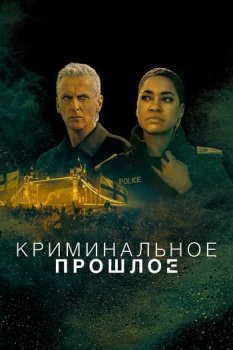 Криминальное прошлое / Criminal Record (2024)