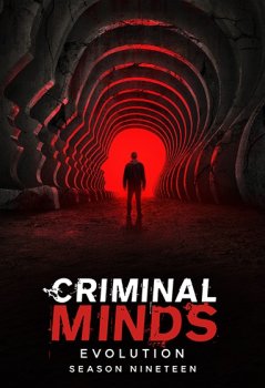 Мыслить как преступник / Criminal Minds (2005)