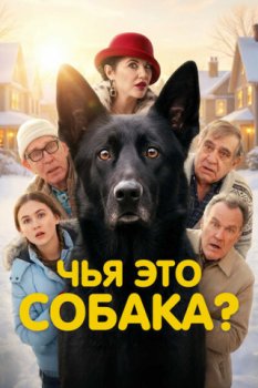 Чья это собака? / Not My Dog (2025)