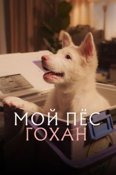 Мой пёс Гохан / Gohan (2026)